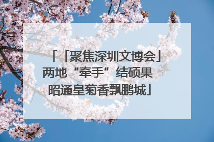 「聚焦深圳文博会」两地“牵手”结硕果 昭通皇菊香飘鹏城